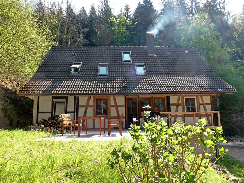 23836431-Ferienhaus-6-Wolfach-800x600-0