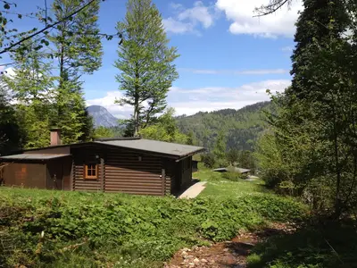 ViewSummer