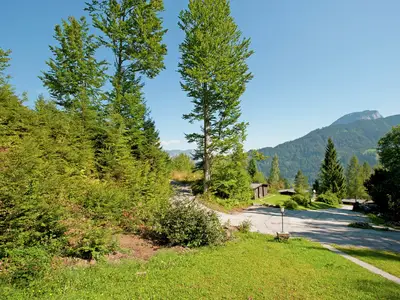 ViewSummer