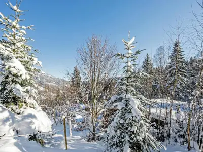 Umgebung [Winter] (1-5 km)
