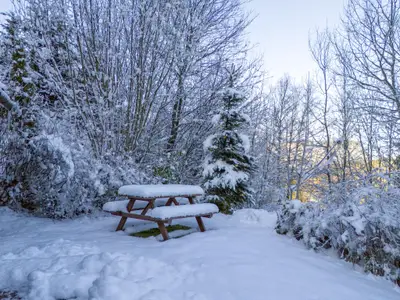Garten [winter]