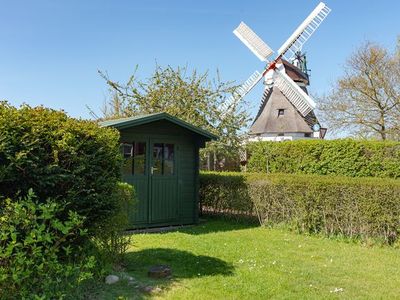 Ferienhaus für 4 Personen (85 m²) in Wrixum 8/10