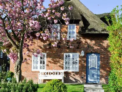 Ferienhaus für 2 Personen (65 m²) in Wrixum 3/10