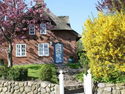 Ferienhaus für 2 Personen (65 m²) in Wrixum 7/10