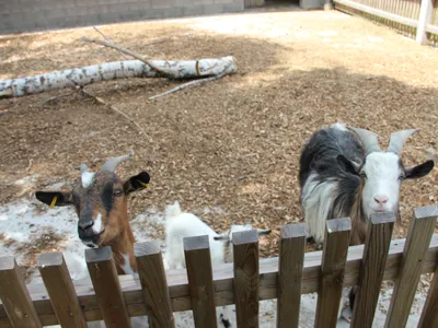 Ferienhaus für 5 Personen in Wunsiedel 1/10