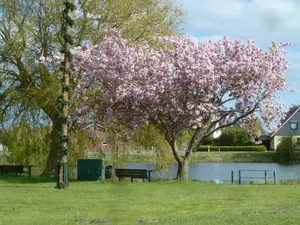 Ferienhaus für 4 Personen (51 m²) in Wurster Nordseeküste