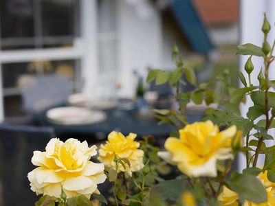 Ferienhaus für 6 Personen (85 m²) in Wurster Nordseeküste 4/10