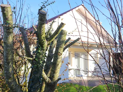 Ferienhaus für 4 Personen (80 m²) in Wurster Nordseeküste 1/10