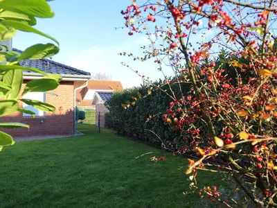 Ferienhaus für 4 Personen (70 m²) in Wurster Nordseeküste 6/10