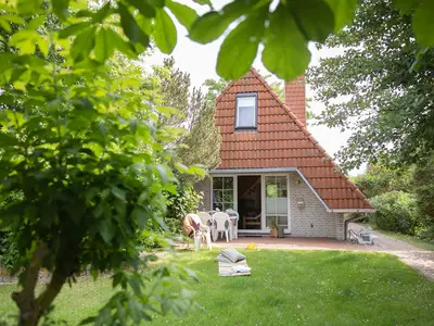 Gartenblick
