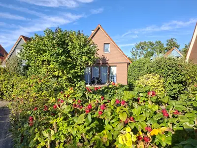 Ferienhaus für 5 Personen (70 m²) in Wurster Nordseeküste 1/10