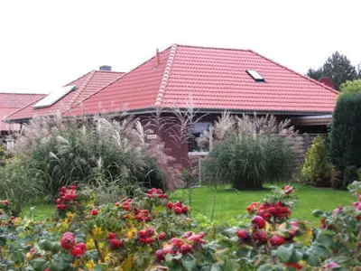 Ferienhaus für 3 Personen (65 m²) in Wurster Nordseeküste 8/10