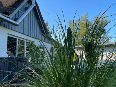 Ferienhaus für 6 Personen (100 m²) in Ostseebad Wustrow 5/10