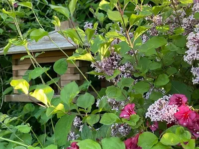 Ferienhaus für 6 Personen (100 m²) in Ostseebad Wustrow 7/10