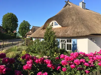 Hauptansicht