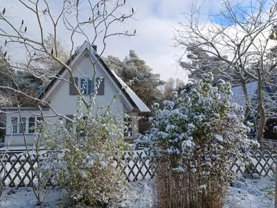 Ferienhaus für 4 Personen (94 m²) in Wustrow (Ostseebad) 2/10