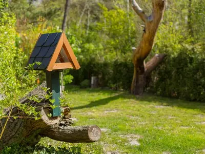 Ferienhaus für 4 Personen (60 m²) in Wustrow (Ostseebad) 6/10