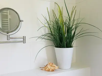 Ferienhaus für 6 Personen (66 m²) in Ostseebad Wustrow 10/10