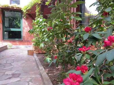 Ferienhaus für 6 Personen (130 m²) in Ostseebad Wustrow 4/10