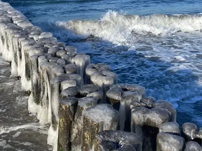 Ferienhaus für 2 Personen (55 m²) in Wustrow (Ostseebad) 7/10