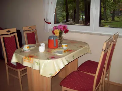Ferienhaus für 4 Personen (40 m²) in Wutha-Farnroda 8/8