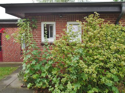 Ferienhaus für 4 Personen (40 m²) in Wyk auf Föhr 2/10