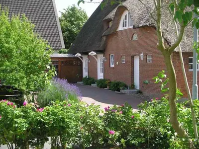 Ferienhaus für 6 Personen (60 m²) in Boldixum 1/10