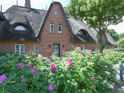 Ferienhaus für 5 Personen (125 m²) in Wyk auf Föhr 1/10