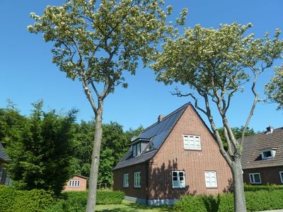 Ferienhaus für 4 Personen (120 m²) in Wyk auf Föhr 1/10