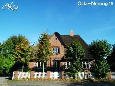 Ferienhaus für 4 Personen (140 m²) in Boldixum 1/10
