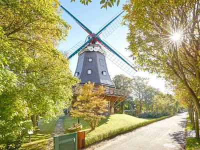 Ferienhaus für 6 Personen (240 m²) in Wyk auf Föhr 1/10