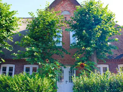 Ferienhaus für 6 Personen (76 m²) in Boldixum 1/10