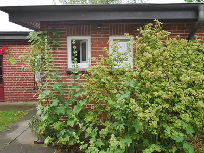 Ferienhaus für 4 Personen (40 m²) in Wyk auf Föhr 2/10