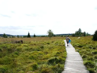 AreaSummer20KM AreaSummer20KM