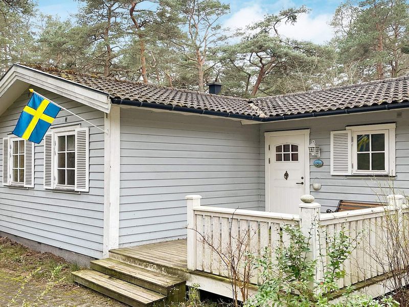 23645463-Ferienhaus-6-Yngsjö-800x600-0