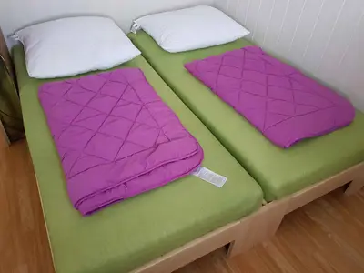 Ferienhaus für 6 Personen (116 m²) in Hluboká nad Vltavou 9/10