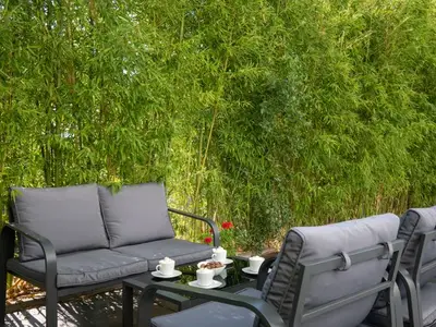Ferienhaus für 8 Personen in Zadar 8/10