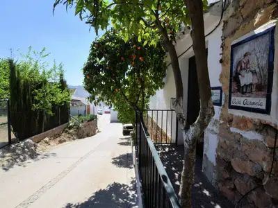 ExteriorSummer