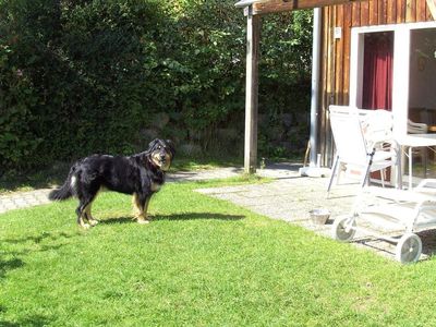 Terrasse und Garten mit Umzäunung spez. für unsere vierbeinigen Gäste 