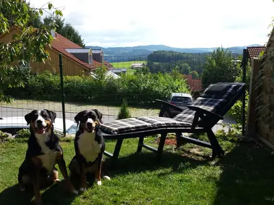 Ferienhaus für 6 Personen (75 m²) in Zandt 3/10