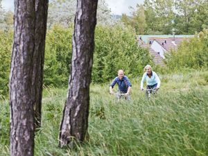 23853936-Ferienhaus-6-Zandvoort-300x225-4