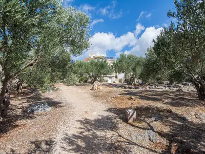 Ferienhaus für 7 Personen (120 m²) in Ždrelac 3/10