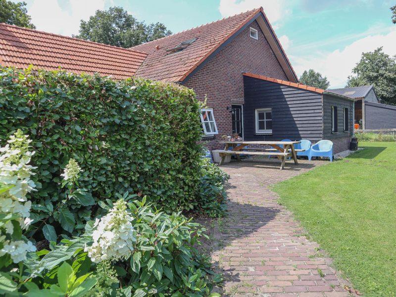 23974463-Ferienhaus-7-Zeeland (Noord Brabant)-800x600-1