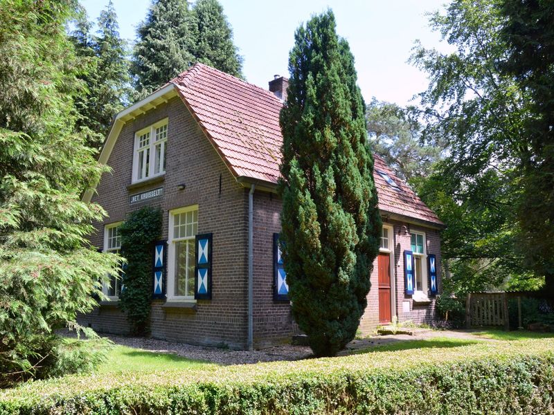 19354368-Ferienhaus-6-Zelhem-800x600-1