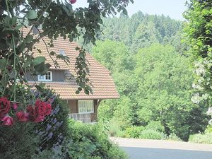 Ferienhaus für 5 Personen (48 m²) in Zell am Harmersbach