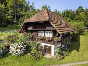 21683491-Ferienhaus-4-Zell am Harmersbach-300x225-3