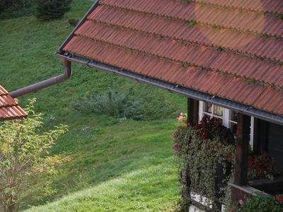 Ferienhaus für 4 Personen (80 m²) in Zell am Harmersbach 10/10