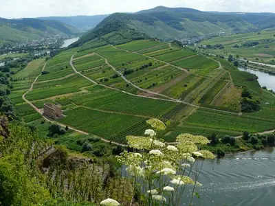 Ferienhaus für 4 Personen (110 m²) in Zell (Mosel) 9/10