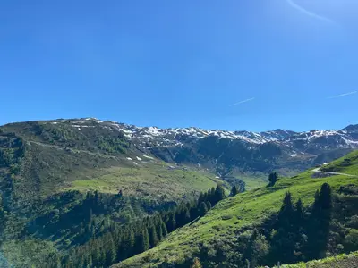 ViewSummer