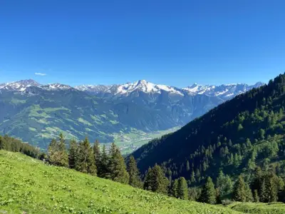 ViewSummer